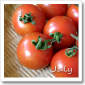 トマトの様子（7月）の画像