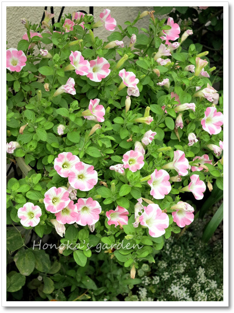 まなまな様　ハート型の花の木アート 000000001849-03-l.jpg?t=
